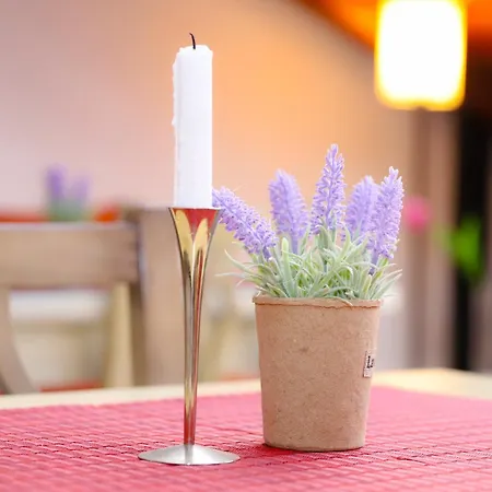 Gasthuis Deny - With Free Parking 3*